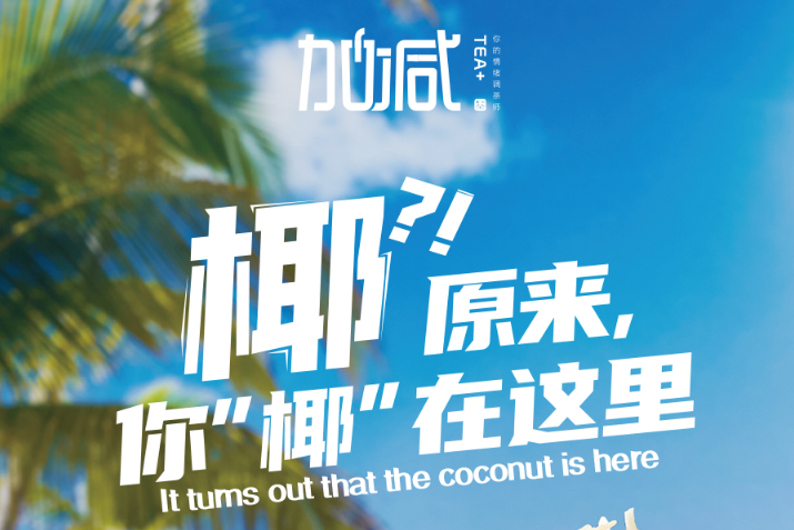 开云椰子系列新品火爆上市